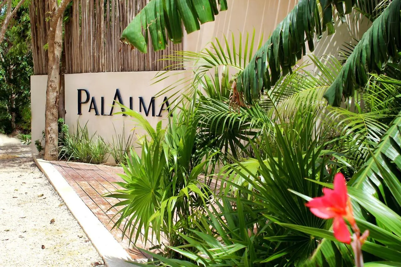 Amazing Studio In Palalma 图卢姆 墨西哥