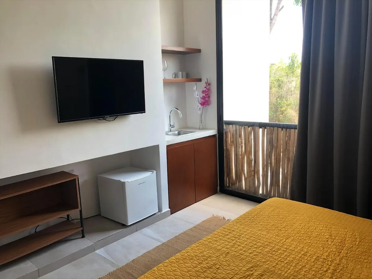 Amazing Studio In Palalma 图卢姆 公寓