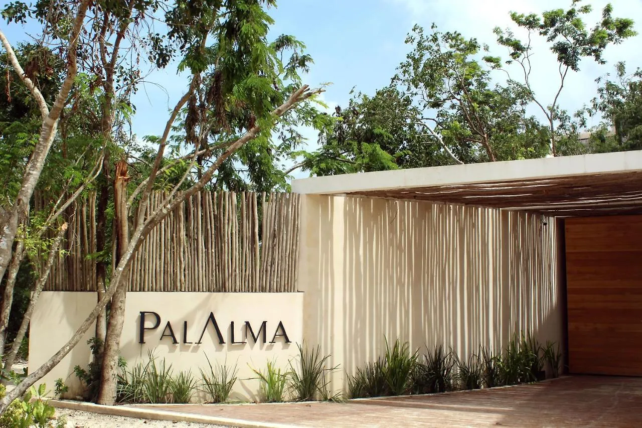 Amazing Studio In Palalma Tulum